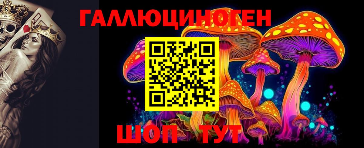 Псилоцибиновые грибы мицелий Губаха